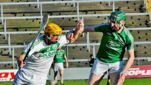 Kilkenny: fans to feast on offerings during busy hurling schedule  