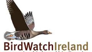 Fly to Birdwatch Ireland talk in Kilkenny