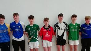 Handball season takes off at blistering pace for Kilkenny players