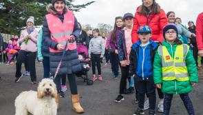 Operation Transformation gets off to a strong start in Kilkenny 