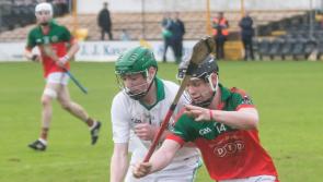 Shefflin to captain Kilkenny hurling team