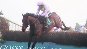 Thyestes Day! Racing gets under way at Gowran from 1.15pm today