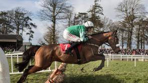 Presenting Percy all set for big return in Gowran Park 