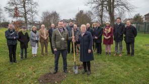 Kilkenny commemorates first Dáil