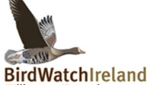 Wildlife in Kilkenny City - Celebrate World Wetlands Day at Newpark Marsh