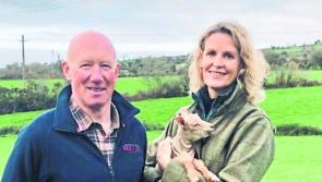 Kilkenny woman Helen Carroll asks Inistioge farmer why wool prices are so poor?