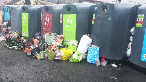 Renewed call to 'name and shame' illegal dumpers in Kilkenny