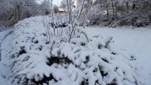 Snow-ice warning issued for three counties as Ireland braces for major temperature drop