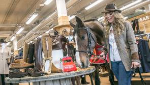 RED MILLS Country Style Stakes Launched at Gowran Racecourse