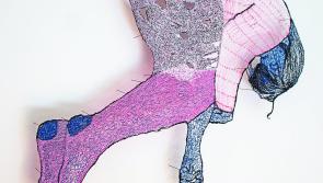 High profile craft exhibition opens in two Kilkenny venues on Saturday