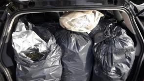 Breaking: €500,000 worth of cannabis seized in Kilkenny 