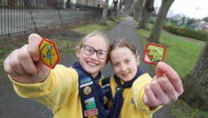 Girl Guides and Brownies in Kilkenny urged to take the Engineers Week Challenge