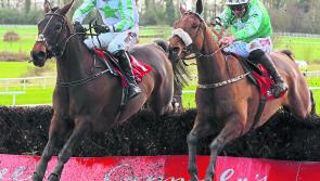 Take a punt and enjoy top notch drama and live gigs  