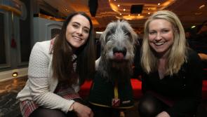 Yulefest’s €9,000 gift to Kilkenny charities