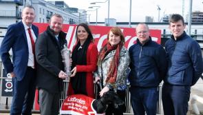 Hennessy from Kilkenny has strong hand in Easter Cup at Shelbourne Park