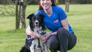 Kilkenny woman and her dog to represent Ireland at Crufts