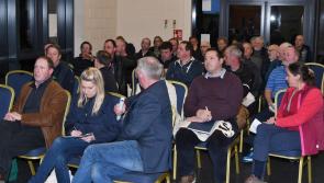 Duiske River in Graignamanagh is  'a priority area for action'