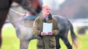 Numbers down, yet Mullins Cheltenham team is strong