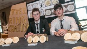 Five winners to represent Kilkenny in Student Enterprise Awards national  final