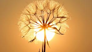 Lucy Mealy 'shone from within'