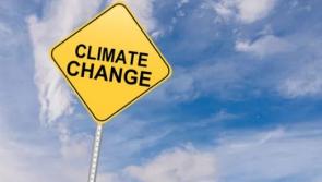 Climate Ready Academy hosts open session for Kilkenny businesses 