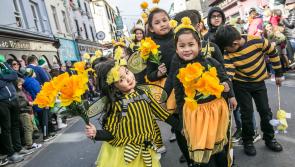 Bees on Parade: Crowds turn out in Kilkenny for St Patrick's Day