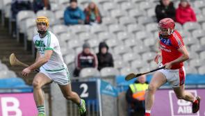 Hitman Fennelly and Shamrocks colleagues ready to join Kilkenny squad