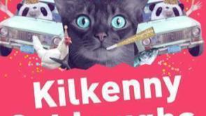 Hope for Kilkenny festivals as comedy Cats to get the last Laugh