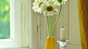 Theresa Maguire was generous and witty