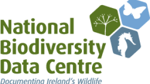 You can help Biodiversity Ireland record Kilkenny plants and wildlife