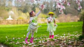 Fun Filled Easter Trail on offer at Mount Congreve Gardens