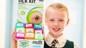 Kilkenny Junior Entrepreneurs complete their projects 