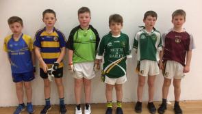 Handball: the county wants more after successes in Kingscourt