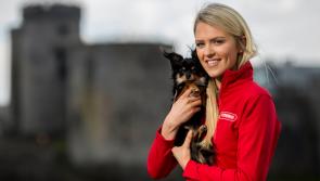 Kilkenny search is on for Puppy of the Year 2019