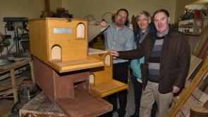 Men's Shed build safe nesting  spaces for owls in Kilkenny, with help from KKB and Birdwatch