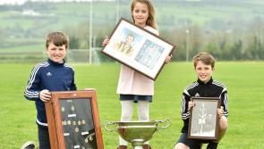 Competition named after Prince of Kilkenny hurlers 