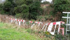 Kilkenny bridge is "cracked, crumbling and totally missing in sections"