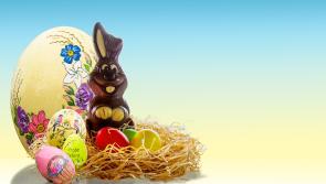 4 out of 5 adults in Ireland will be celebrating Easter buying 7 Million Easter eggs this year!