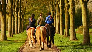 Giddy up for the North Kilkenny Hunt Sponsored Ride