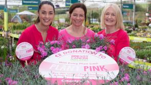 Kilkenny to 'Plant Pink' to raise funds for Breast Cancer Ireland