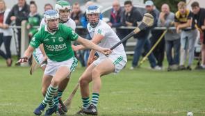 TJ Reid and Colin Fennelly lead the way as Kilkenny champions Ballyhale Shamrocks score first win in league