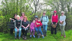 Easter foraging walk in Goresbridge