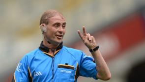 Kilkenny's Sean Cleere picked on refs championship team