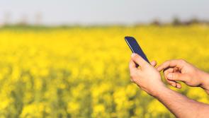 Ifac reminds Kilkenny farmers to protect farm data - click for tips!