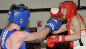 Marble City are top club in Leinster boxing