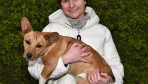 My Kilkenny Life: Sinead Healy