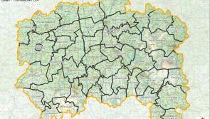 New Callan-Thomastown area sees 12 candidates fight for six seats