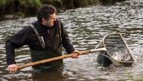 Goatsbridge Trout Kilkenny to feature at Bord Bia’s Bloom