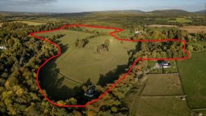 BREAKING - 72 acre holding in Kilkenny sold for €870,000 at auction today!