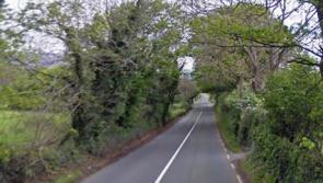 People in Kilkenny shocked after encountering unexpected animal